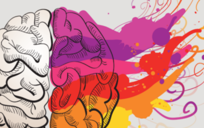 Your Brain Predicts Before You Decide